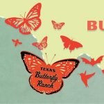Butterflies without Borders