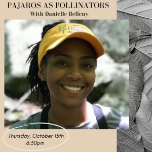 Pajaros as Pollinators with Danielle Belleny