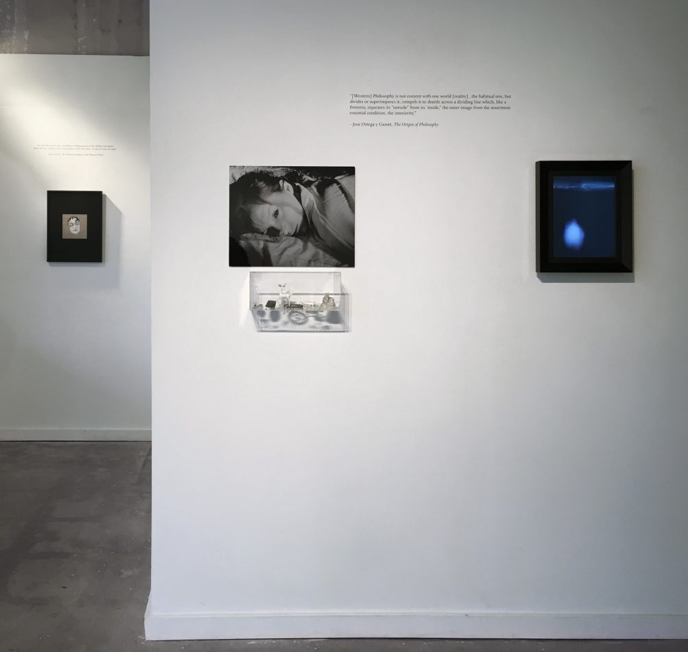 Gallery 8 - Jonathan Treviño