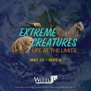 Extreme Creatures: Life at the Limits