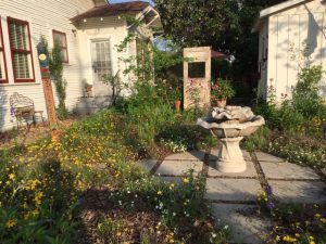 NATIVE PLANTS FOR URBAN GARDENS by Dr. Kelly Lyons