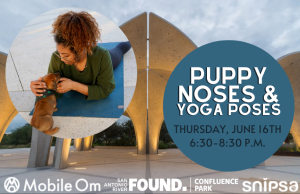 Puppy Noses and Yoga Poses