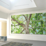 Gallery 1 - Canopy Dreams for San Antonio