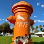 Puptopia Festival