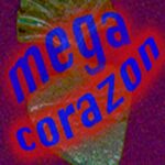 Call for Entries for URBAN-15’s 2024 Mega Corazon “Precious Words” Prize for Performance Poetry