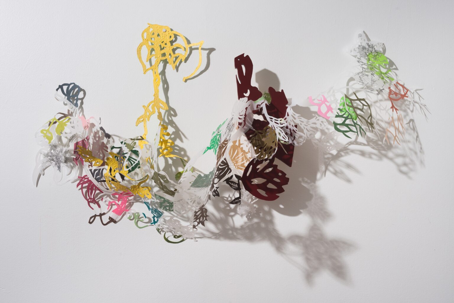Gallery 8 - Leigh Anne Lester