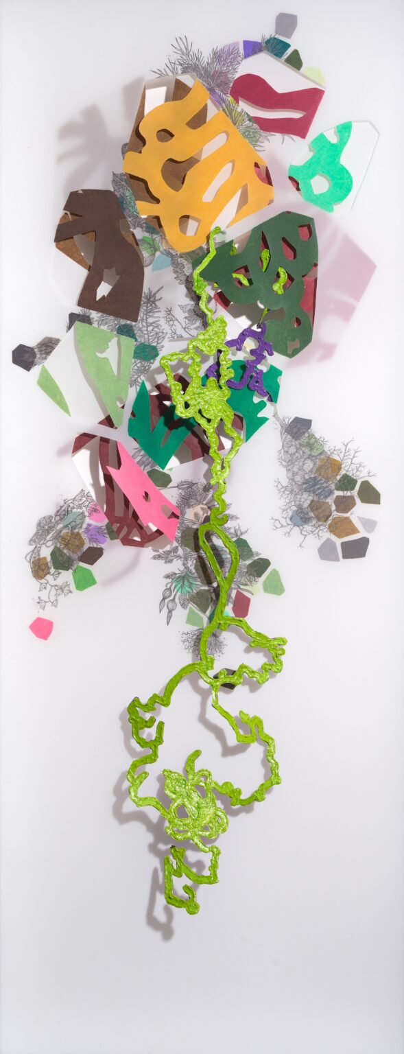Gallery 9 - Leigh Anne Lester