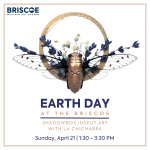 Earth Day at the Briscoe: Shadowbox Insect Art with La Chicharra