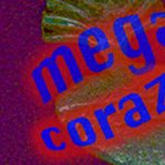 Mega Corazón 2024