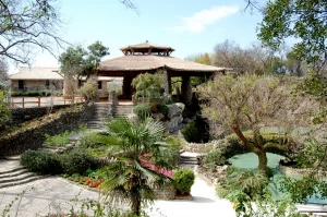 Japanese Tea Garden