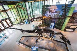 Witte Museum