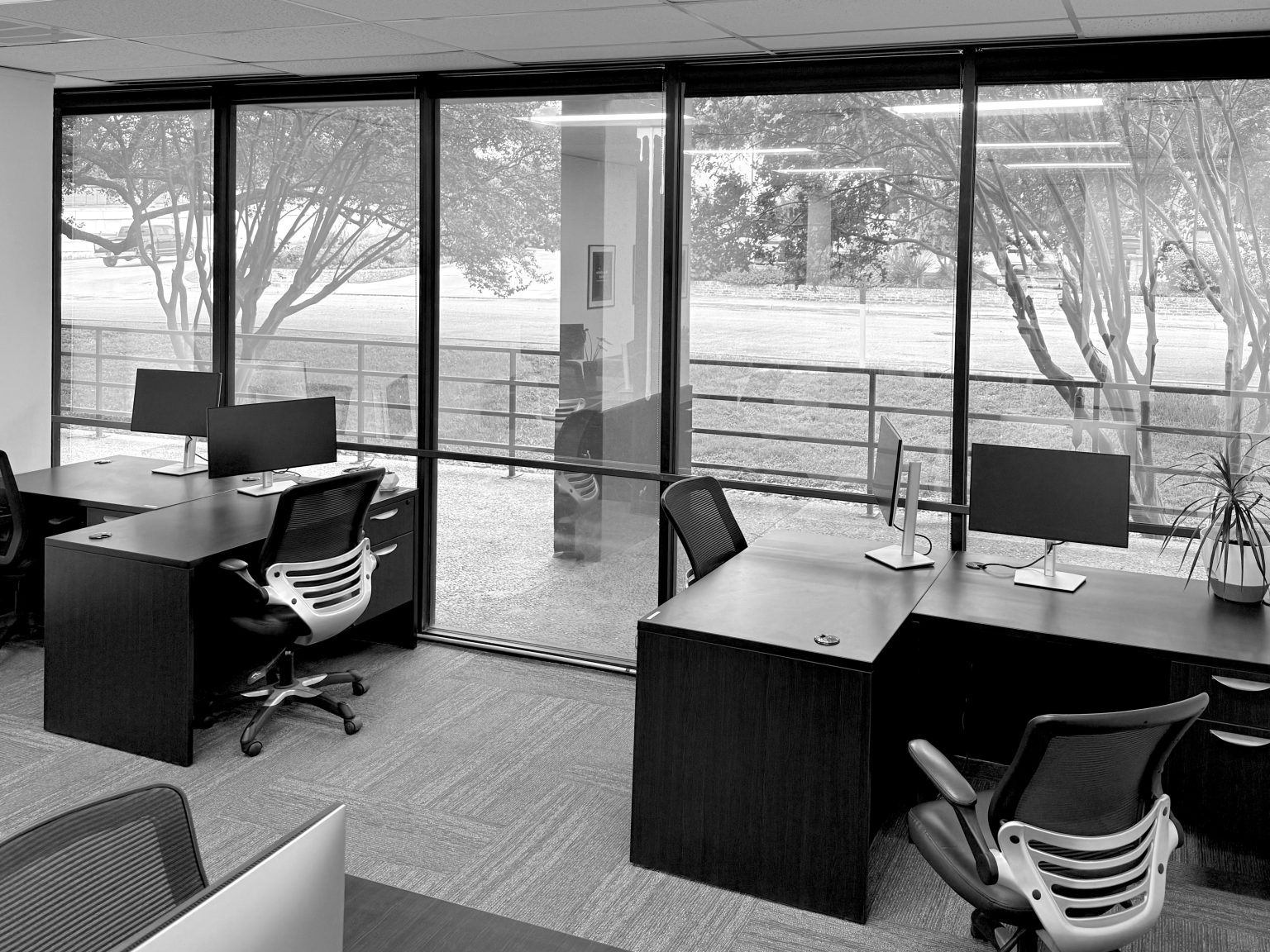 Gallery 5 - Creativekind Studios