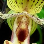 Gallery 12 - Journey Images LLC