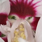 Gallery 15 - Journey Images LLC
