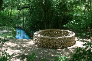 El Ojo del Agua: Sacred Springs, Sacred Stories